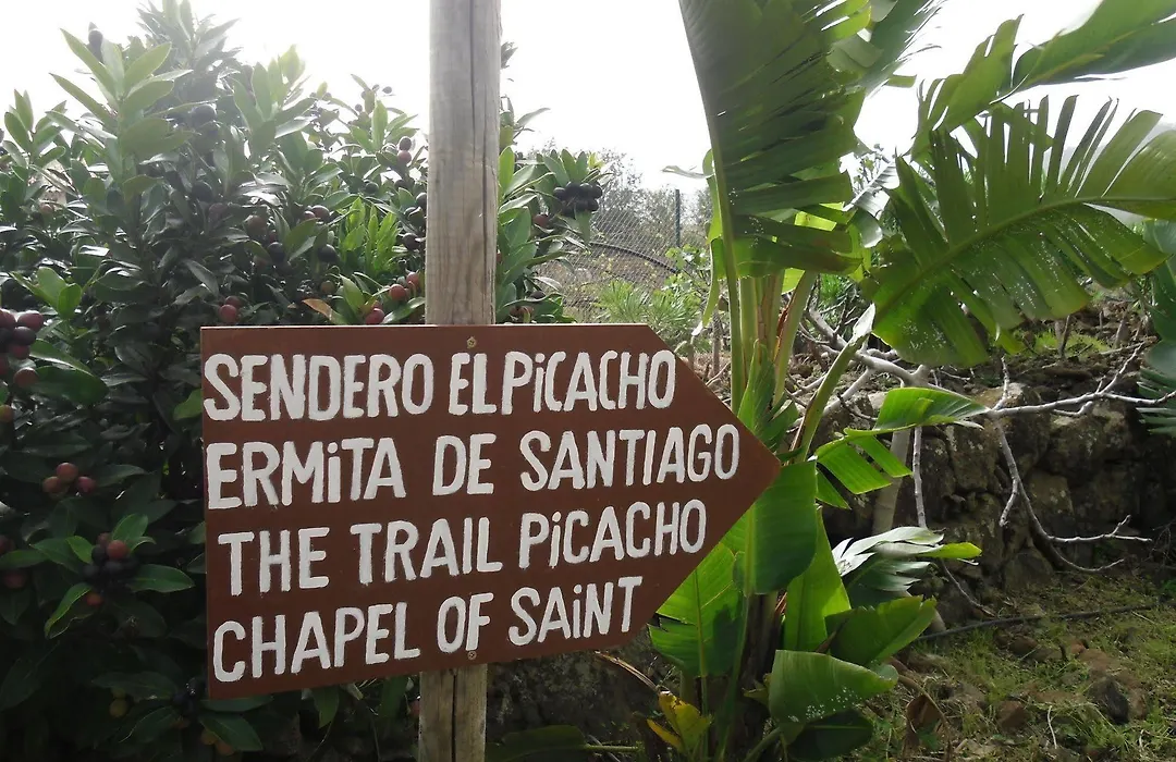 Finca El Picacho-1